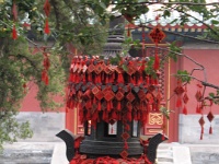 2011China 244